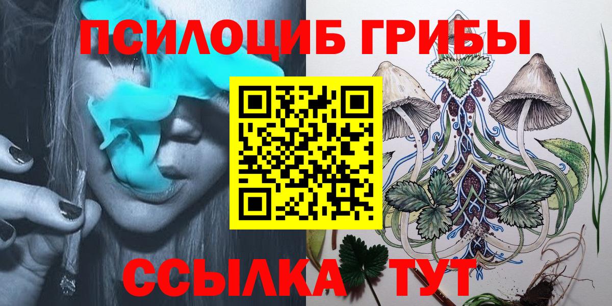 Псилоцибиновые грибы прущие грибы  Вход с VPN  Тулун 